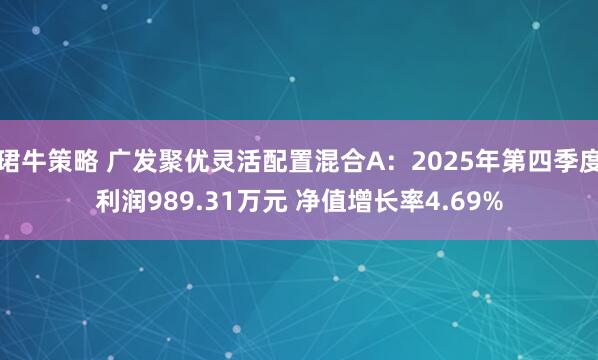 珺牛策略 广发聚优灵活配置混合A：2025年第四季度利润989.31万元 净值增长率4.69%