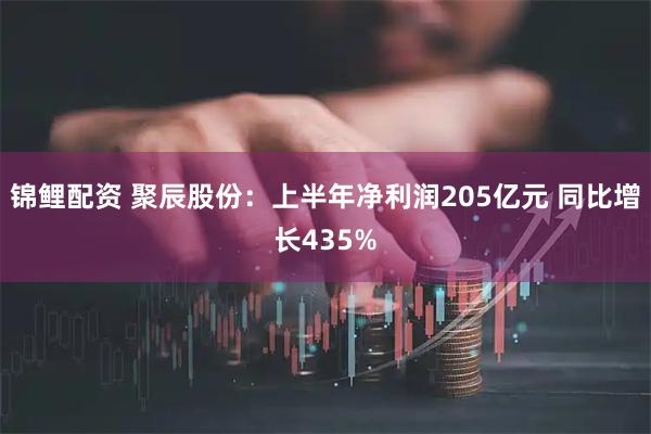 锦鲤配资 聚辰股份：上半年净利润205亿元 同比增长435%