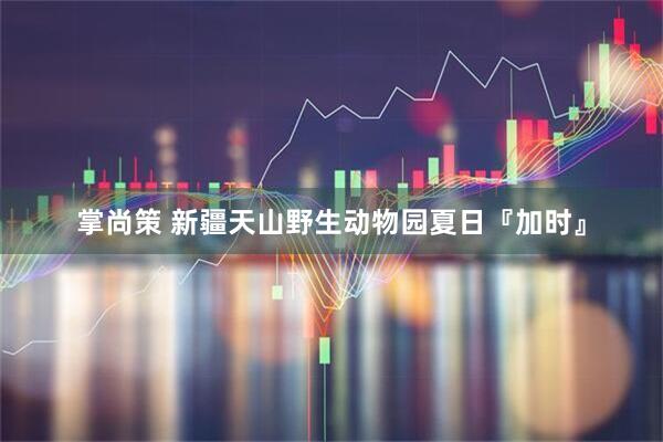 掌尚策 新疆天山野生动物园夏日『加时』