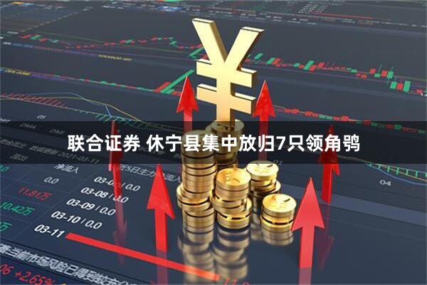 联合证券 休宁县集中放归7只领角鸮