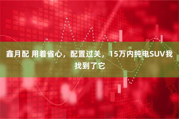 鑫月配 用着省心，配置过关，15万内纯电SUV我找到了它